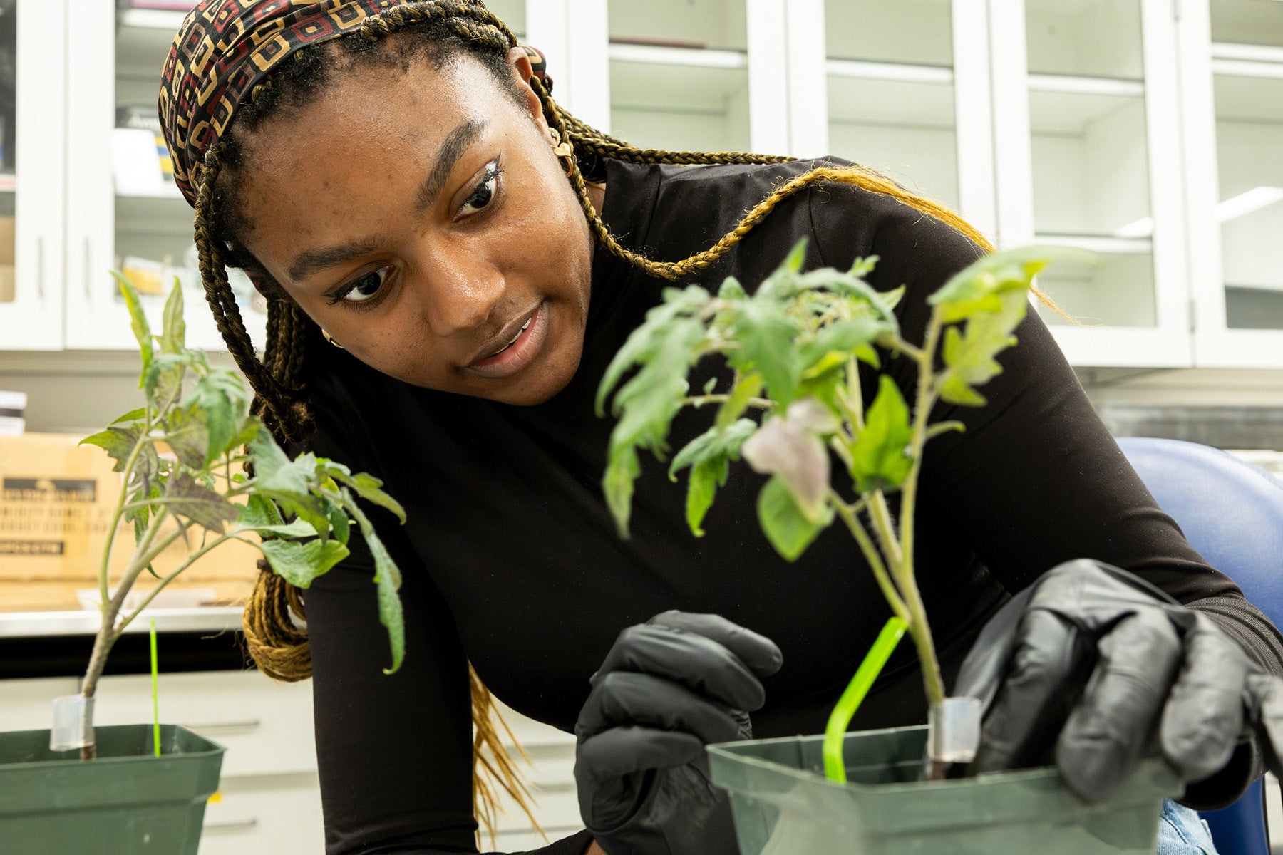 UCLA undergraduate researcher Oge Okpala in the CROPPS lab