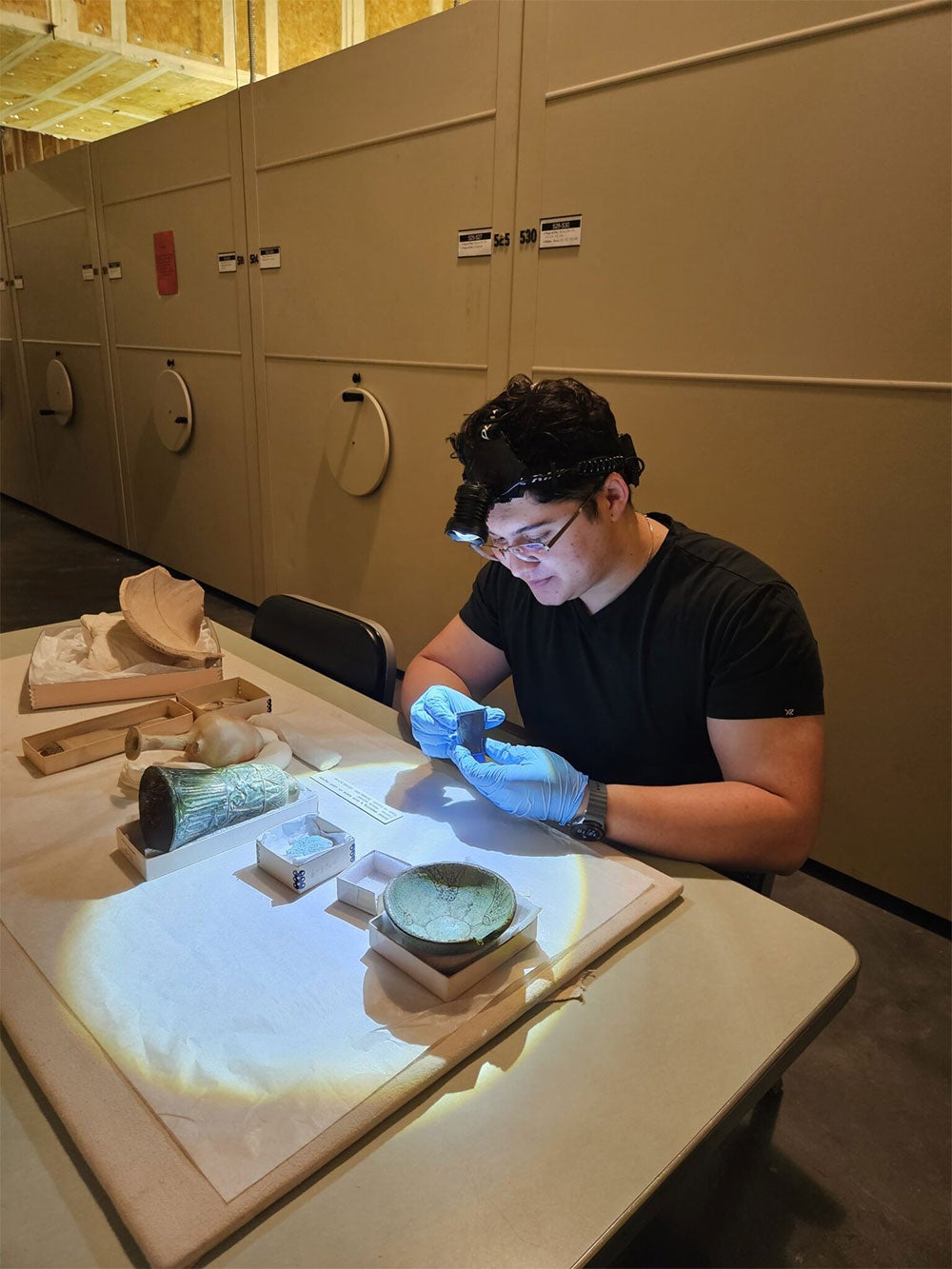 Liam McEvoy wearing blue nitrile gloves and a headlamp examines a specimen in an herbarium
