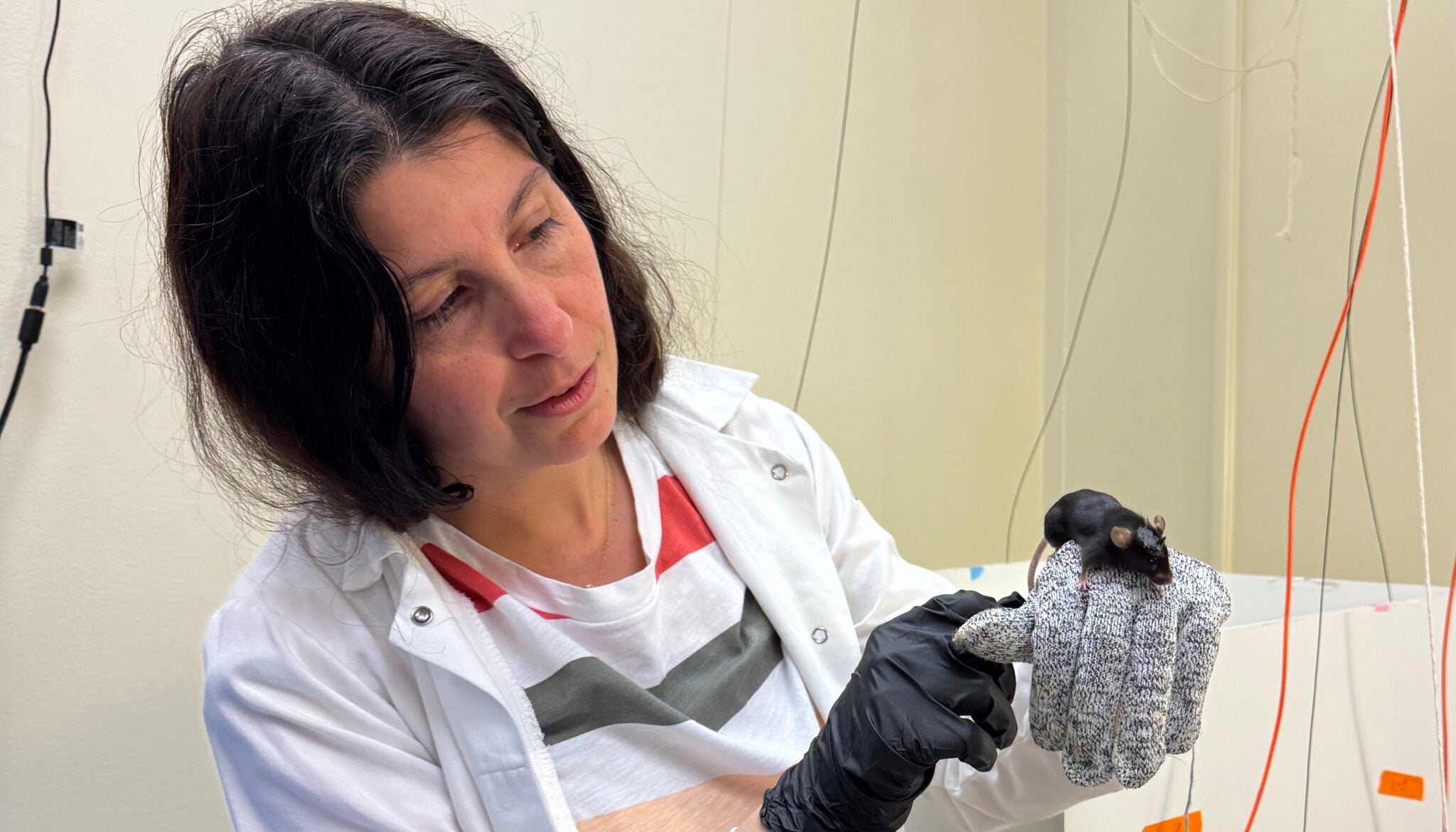 A woman in a white lab coat holds up on a softly gloved hand a mouse with dark hair
