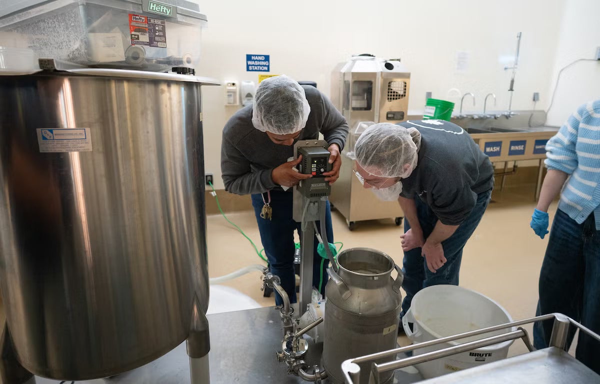Two people in hairnets start an ice cream maker in a food processing facility