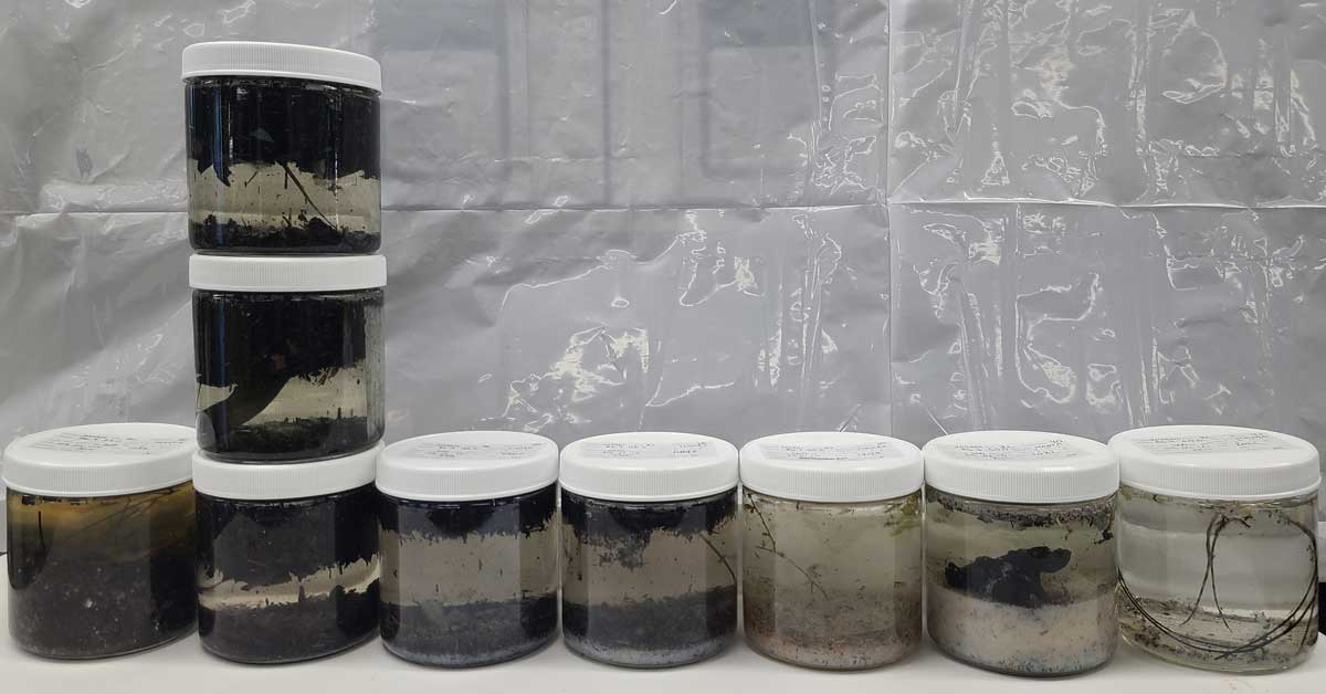About 10 jars full of various murky samples