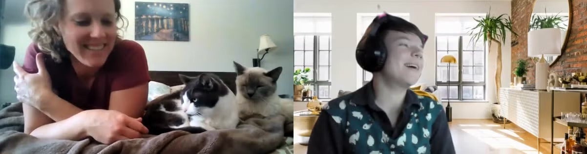 Two separate Zoom screens side by side; one with a person and her two kittens on a bed; the other with someone in front of a living room backdrop laughing