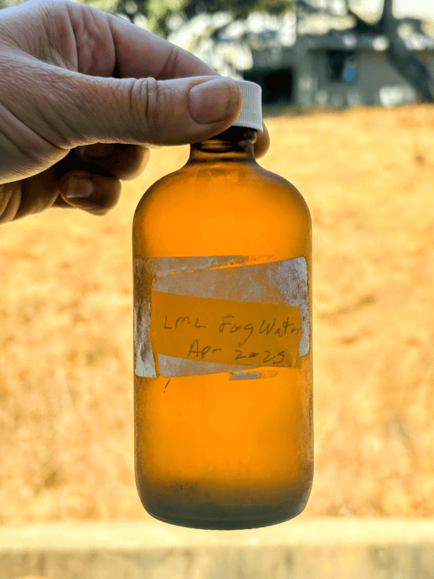 Water from fog in a small glass bottle held between a thumb and finger