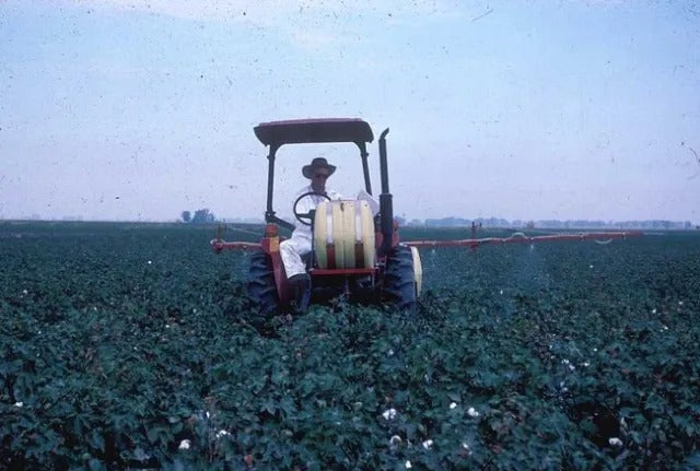 An old faded photo of a man operating a spray rig in a cotton field