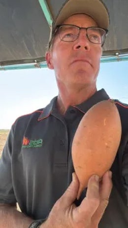 A man holding a sweet potato