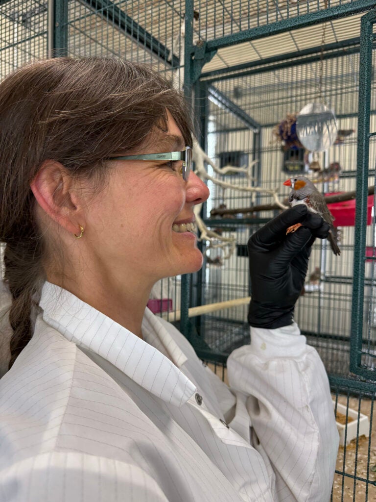 A woman in glasses, black gloves and a white lab coat holds a finch on her hand in a room with several bird cages.