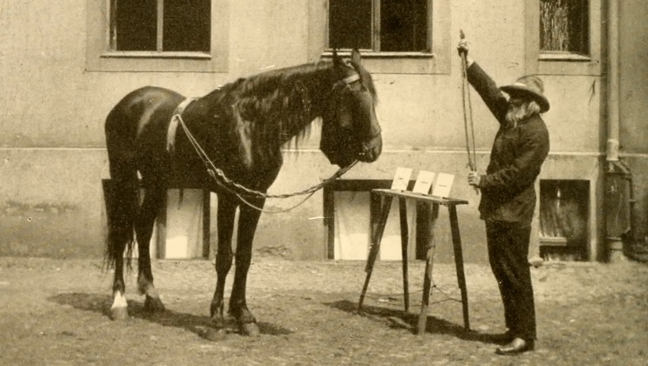 A horse stands next to a man extending a measuring tape in an old photo