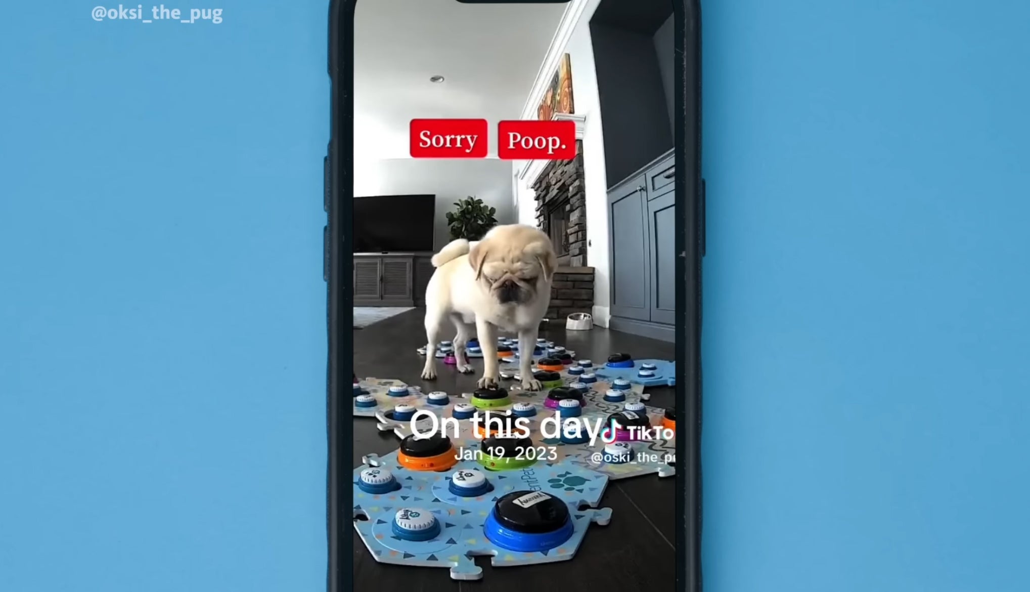 A pug looks down at a soundboard with a caption above saying Sorry Poop