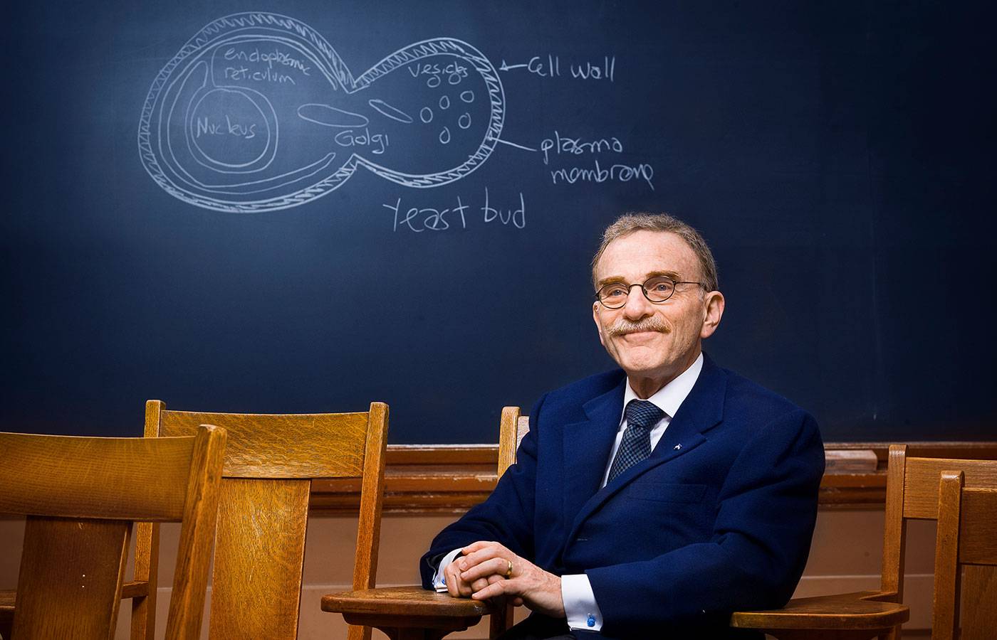 Randy Schekman in a blue suit sits on a wooden chair with a blackboard behind him displaying a diagram of yeast cells