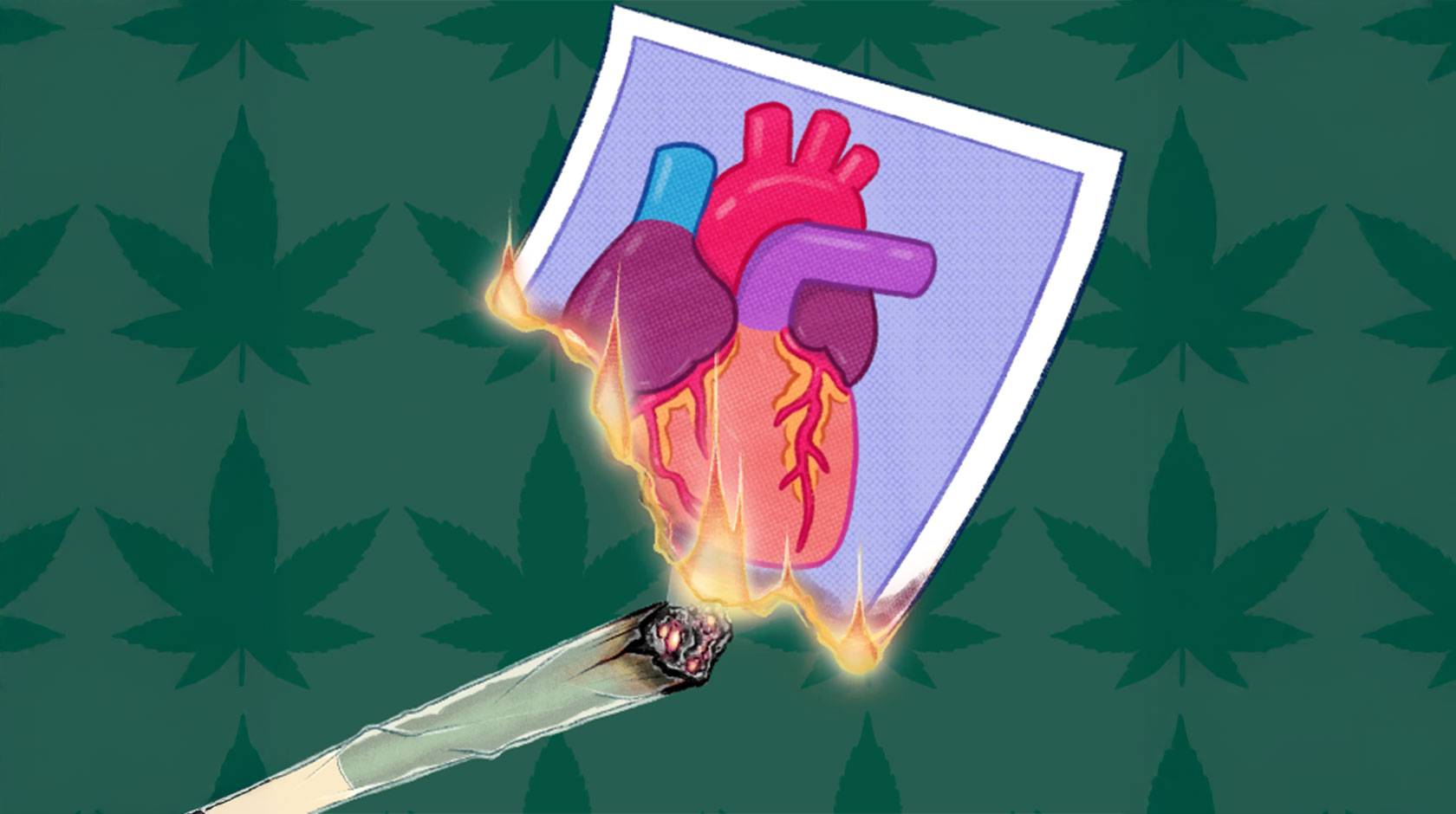 An illustration of a lit marijuana cigarette lighting a picture of a human heart on fire, against a backdrop of marijuana leaves