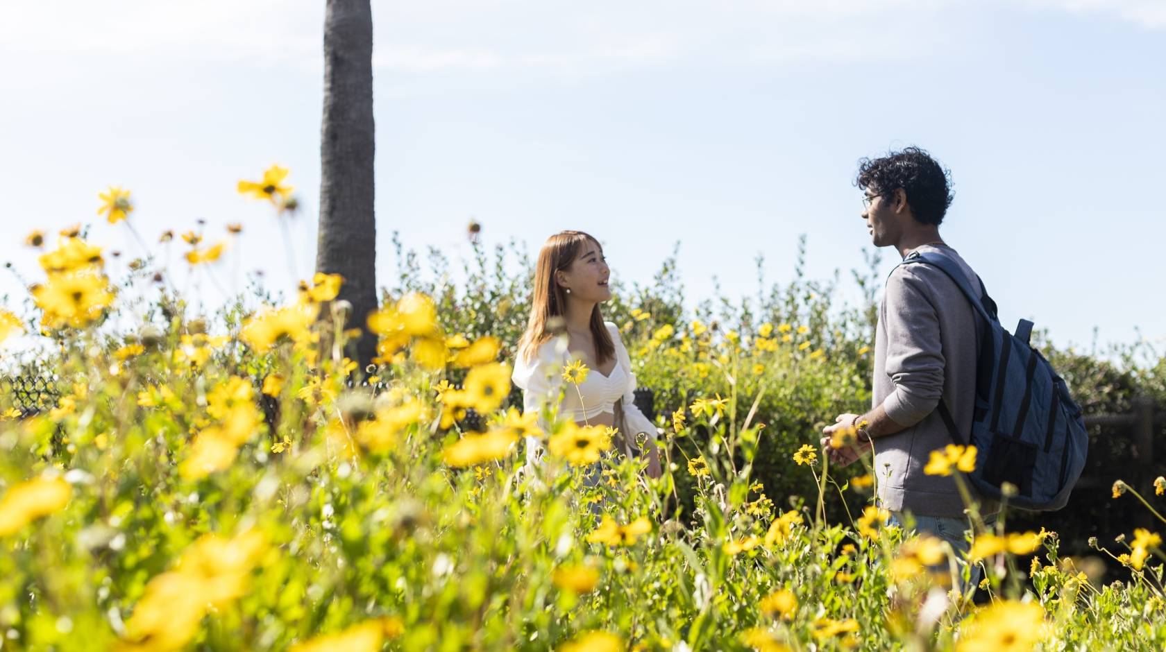Two students talking in a field of yellow flowers