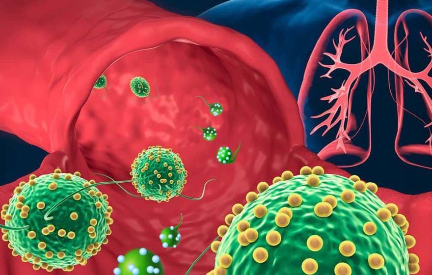 illustrated algae-based microrobots dotted with drug-loaded nanoparticles on their way into the lungs