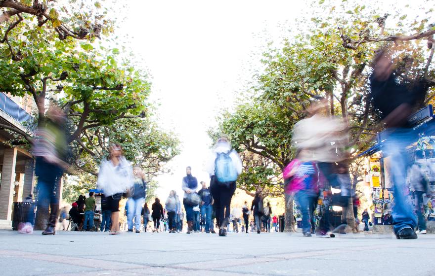 students on the UC Berkeley campus