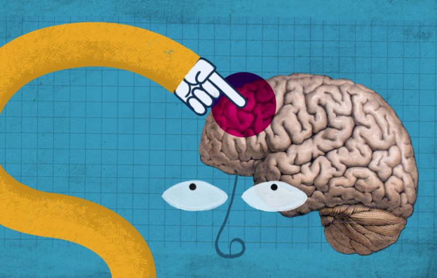 An illustration of a brain with a hand point to specific areas of it