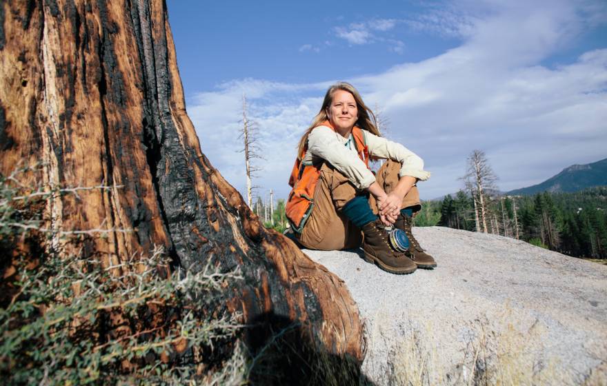 Susie Kocher sits on a rock next to a tree bearing burns in the Angora burn area (burned in 2007) in South Lake Tahoe