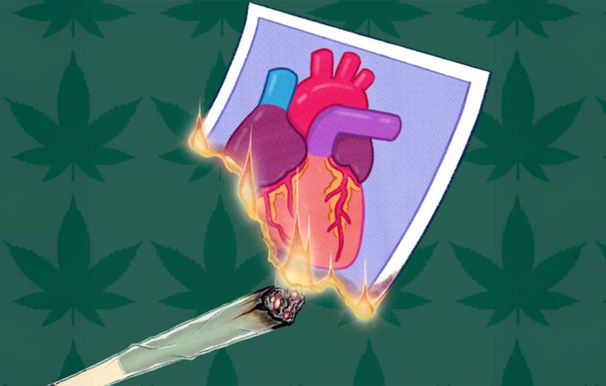 An illustration of a lit marijuana cigarette lighting a picture of a human heart on fire, against a backdrop of marijuana leaves