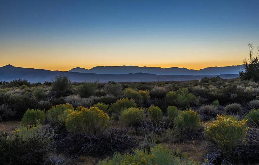 A view of a flat land dotted by flowers near mountains and the ocean at sunrise or sunset