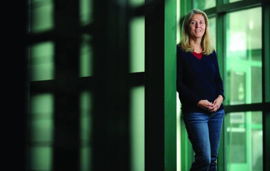 Portrait of UC Irvine's Diane O’Dowd, vice provost for academic personnel.