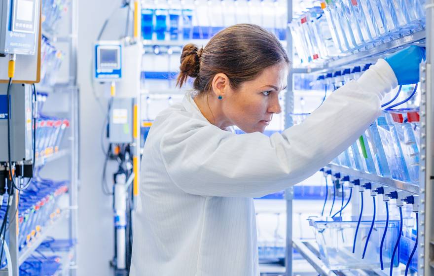 A scientist in a white lab coat looks at a rack of clear plastic tubs filled with water on a shelf in a laboratory.