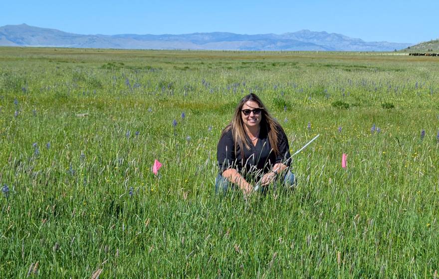 A woman wearing sunglasses crouched in a grassy field with cattle far in the background