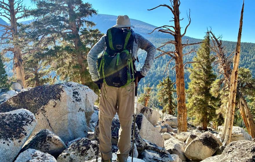 A man stands under bare trees looking out at a mountain landscape, photographed from behind