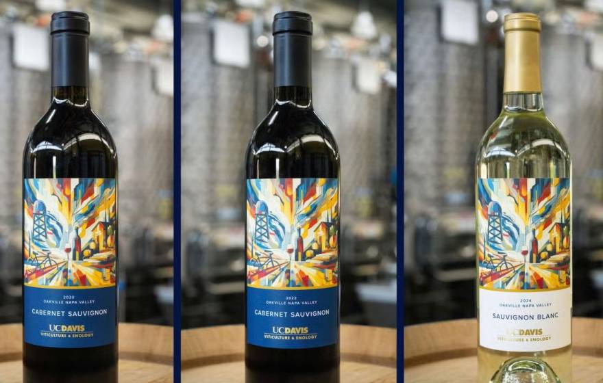 Three wine bottles, two red, one white