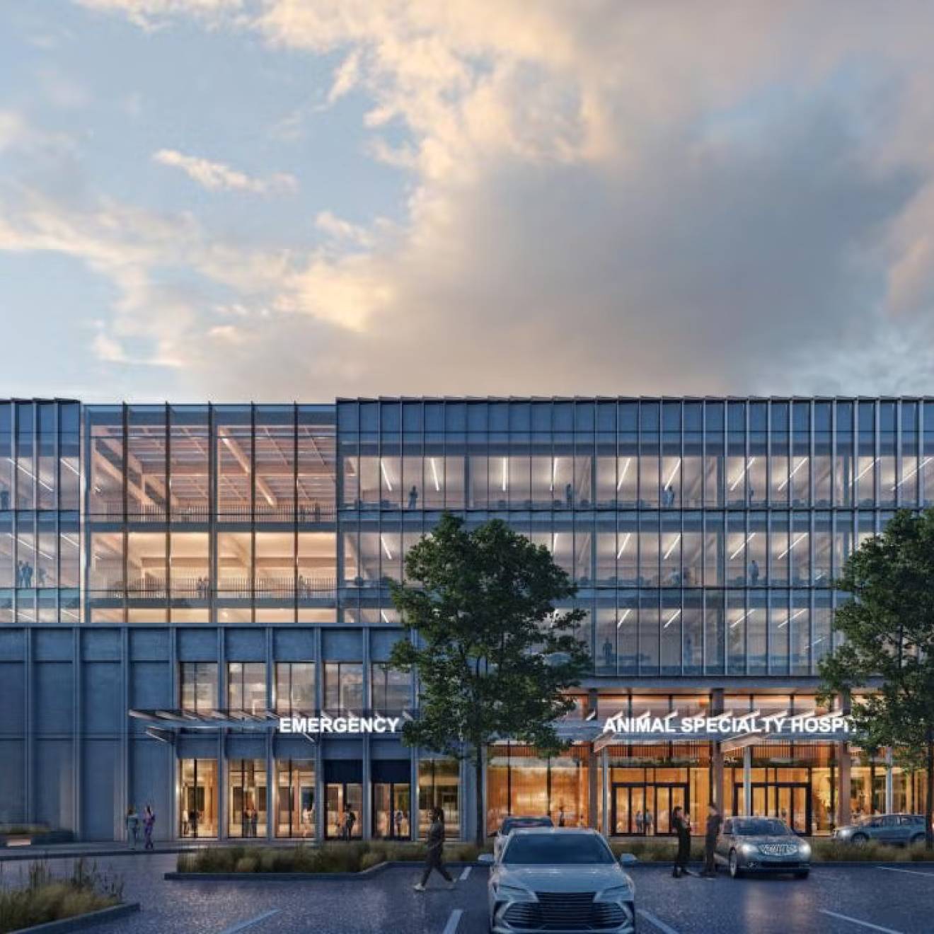 Modern glass office building at dusk with warm-lit interiors, front trees and parked car. A conceptual rendering of the entrance to the new small animal hospital